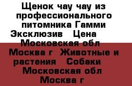 Щенок чау-чау из профессионального питомника Гамми Эксклюзив › Цена ­ 1 - Московская обл., Москва г. Животные и растения » Собаки   . Московская обл.,Москва г.